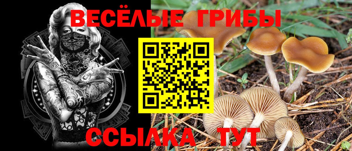 Псилоцибиновые грибы Psilocybine cubensis  Вход с VPN  Ступино 